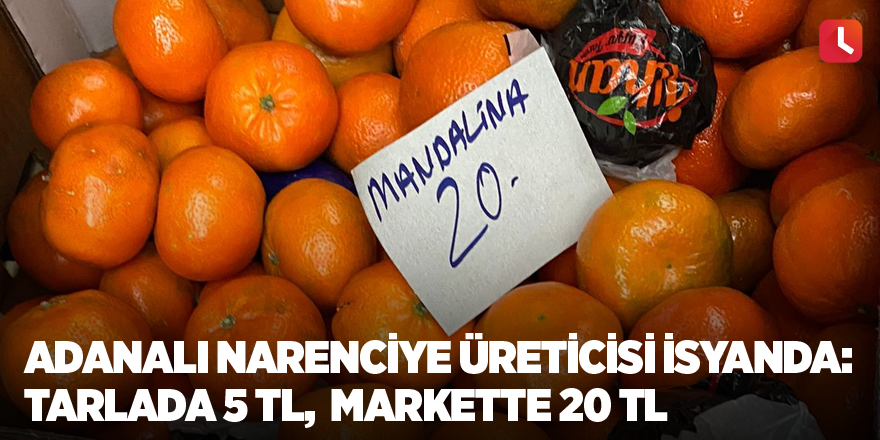 Adanalı narenciye üreticisi isyanda: Tarlada 5 TL,  markette 20 TL