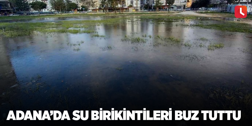 Adana’da su birikintileri buz tuttu