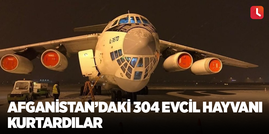 Afganistan’daki 304 evcil hayvanı kurtardılar