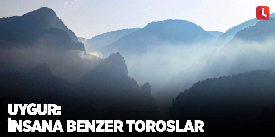 Uygur: İnsana benzer Toroslar