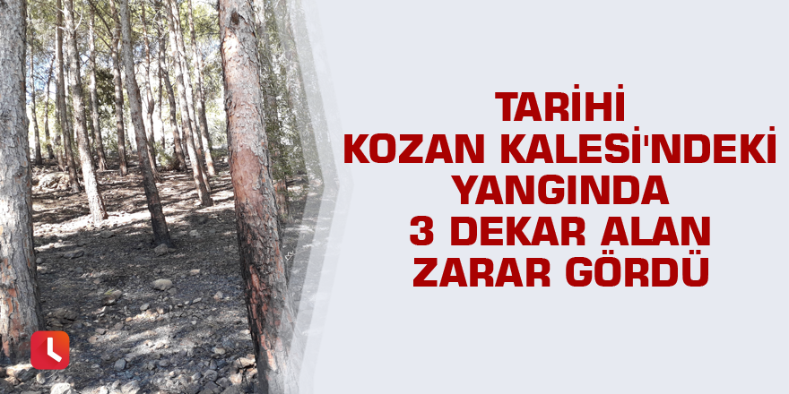 Tarihi Kozan Kalesi'ndeki yangında 3 dekar alan zarar gördü