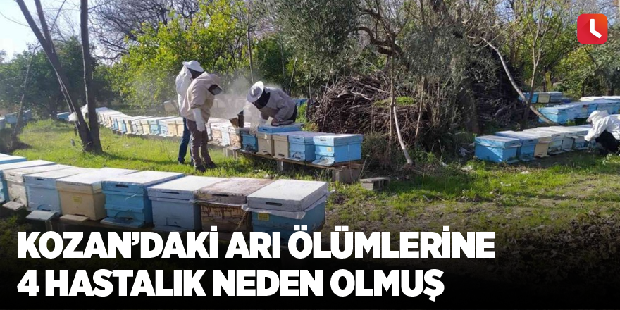 Kozan’daki arı ölümlerine 4 hastalık neden olmuş