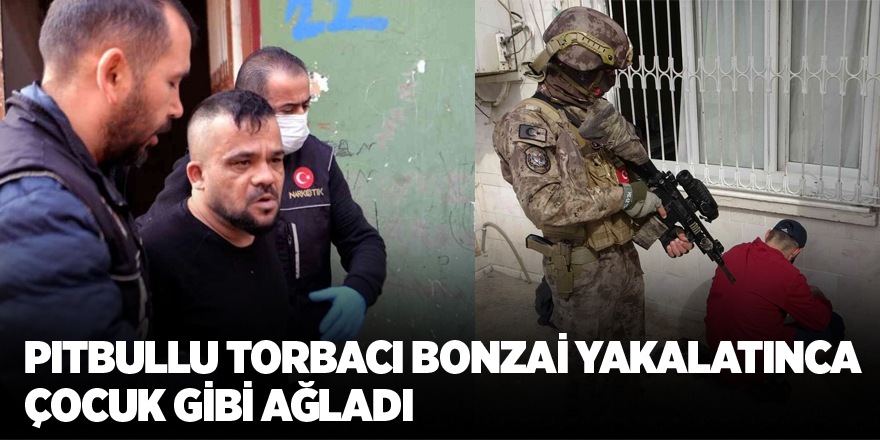 Pitbullu torbacı bonzai yakalatınca çocuk gibi ağladı