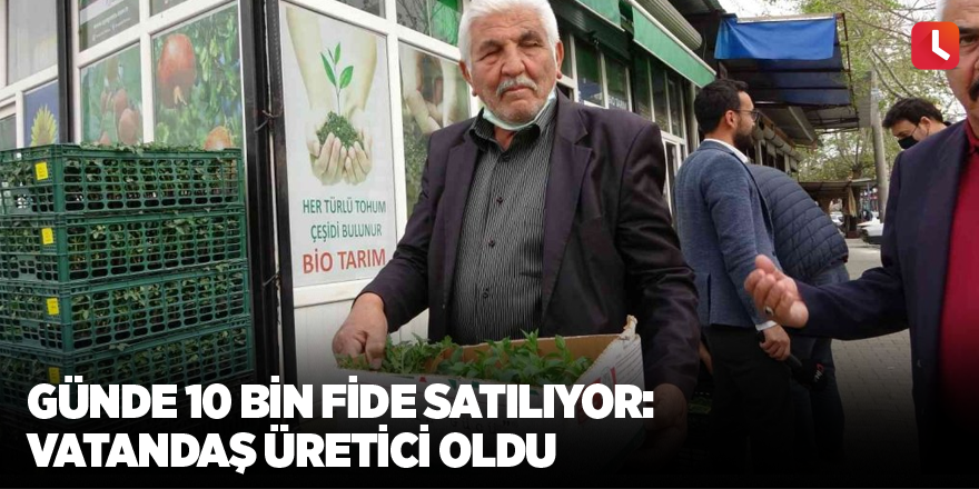 Günde 10 bin fide satılıyor: Vatandaş üretici oldu