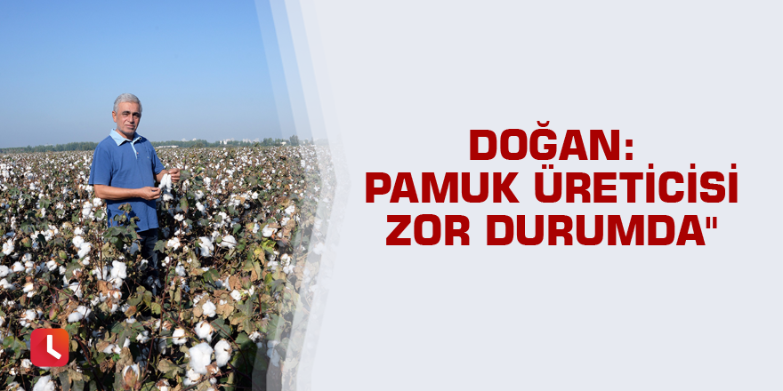 Doğan: Pamuk üreticisi zor durumda