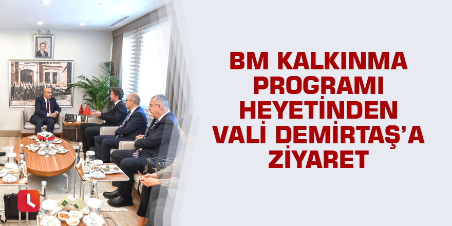 BM Kalkınma Programı heyetinden Vali Demirtaş’a ziyaret