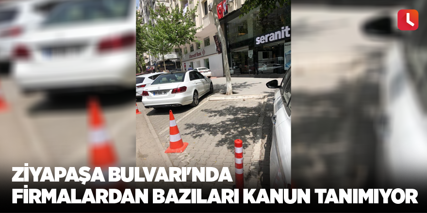 Ziyapaşa Bulvarı'nda firmalardan bazıları kanun tanımıyor