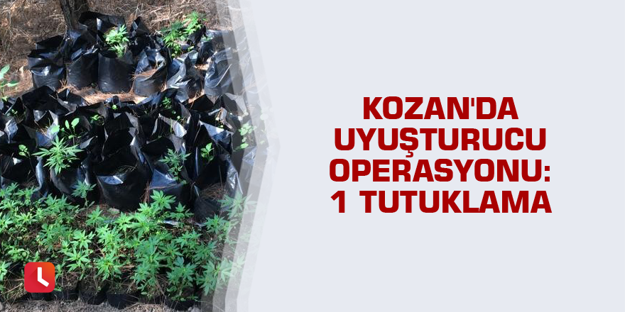 Kozan'da uyuşturucu operasyonu: 1 tutuklama