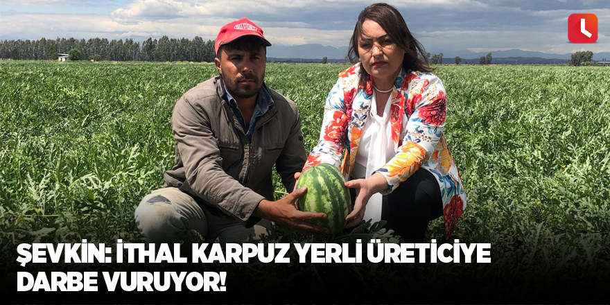 Şevkin: İthal karpuz yerli üreticiye darbe vuruyor!
