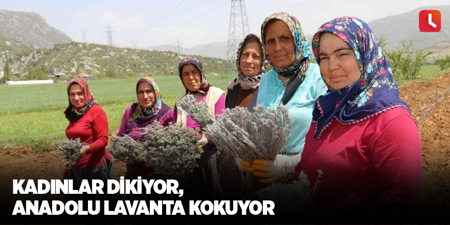 Kadınlar dikiyor, Anadolu lavanta kokuyor