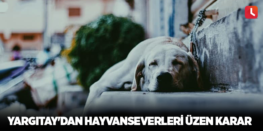 Yargıtay'dan hayvanseverleri üzen karar