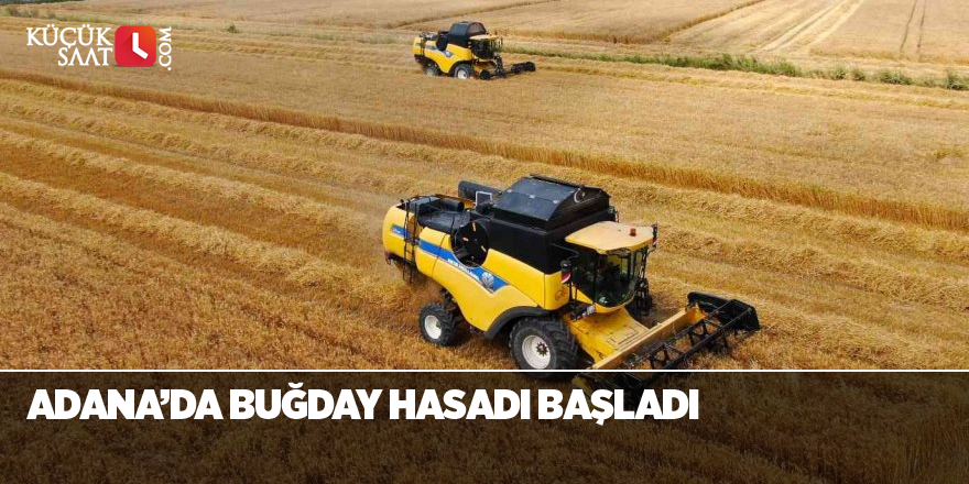 Adana’da buğday hasadı başladı