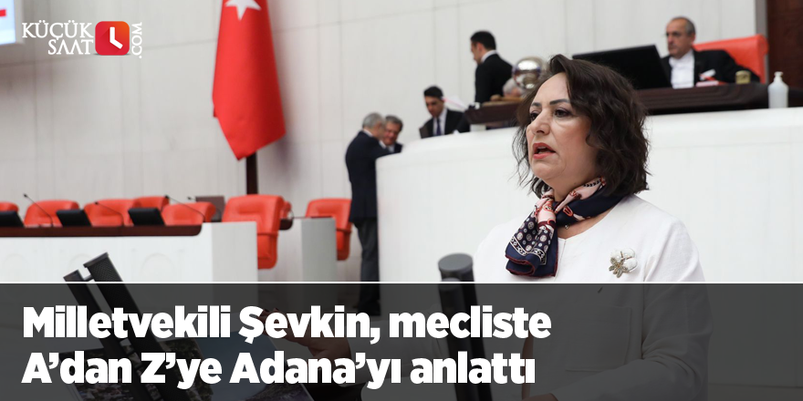Milletvekili Şevkin, mecliste A’dan Z’ye Adana’yı anlattı