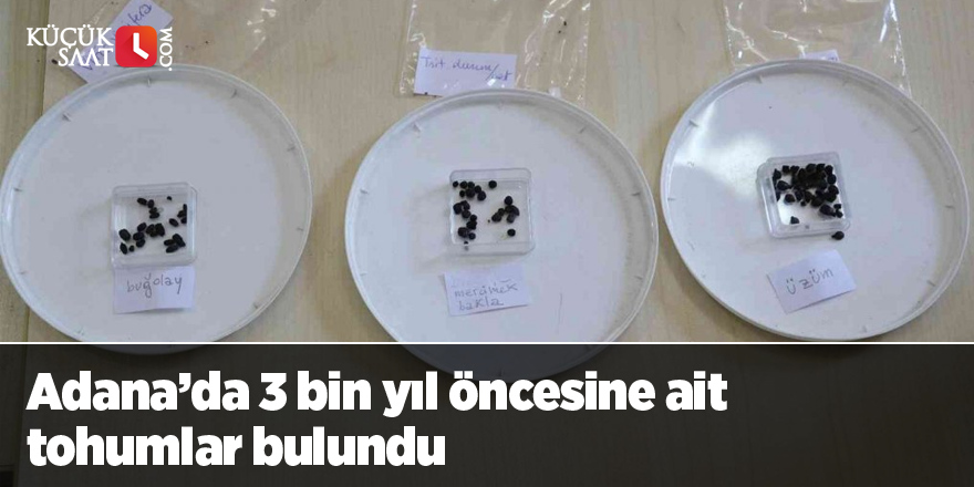 Adana’da 3 bin yıl öncesine ait tohumlar bulundu