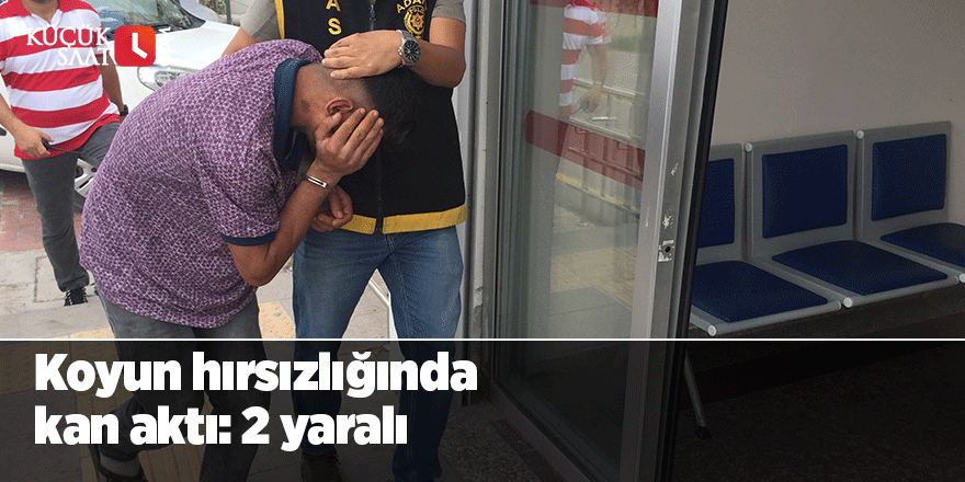 Koyun hırsızlığında kan aktı: 2 yaralı