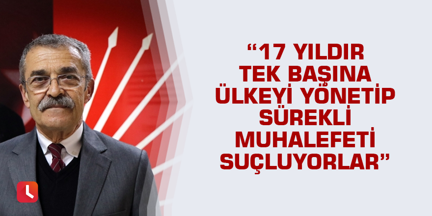 "17 yıldır tek başına ülkeyi yönetip sürekli muhalefeti suçluyorlar"