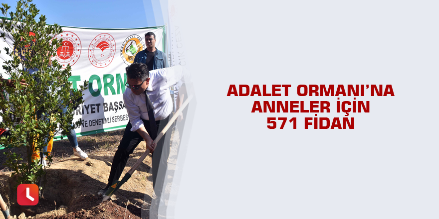 Adalet Ormanı’na anneler için 571 fidan