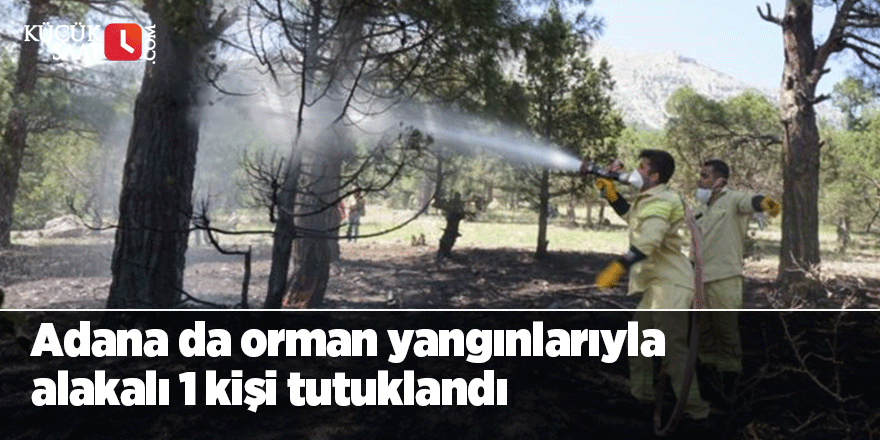 Adana da orman yangınlarıyla alakalı 1 kişi tutuklandı
