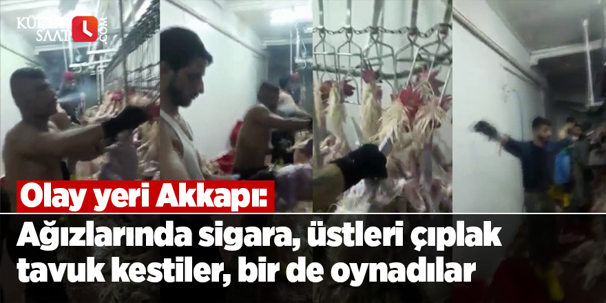 Olay yeri Akkapı: Ağızlarında sigara, üstleri çıplak tavuk kestiler, bir de oynadılar