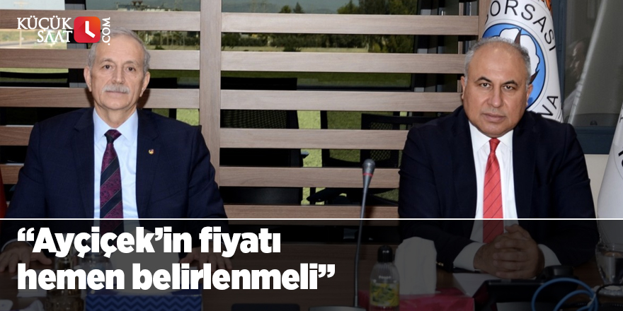 “Ayçiçek’in fiyatı hemen belirlenmeli”