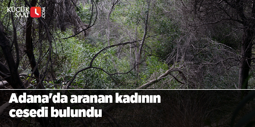 Adana'da aranan kadının cesedi bulundu