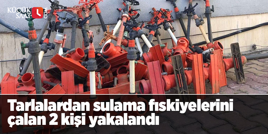 Tarlalardan sulama fıskiyelerini çalan 2 kişi yakalandı