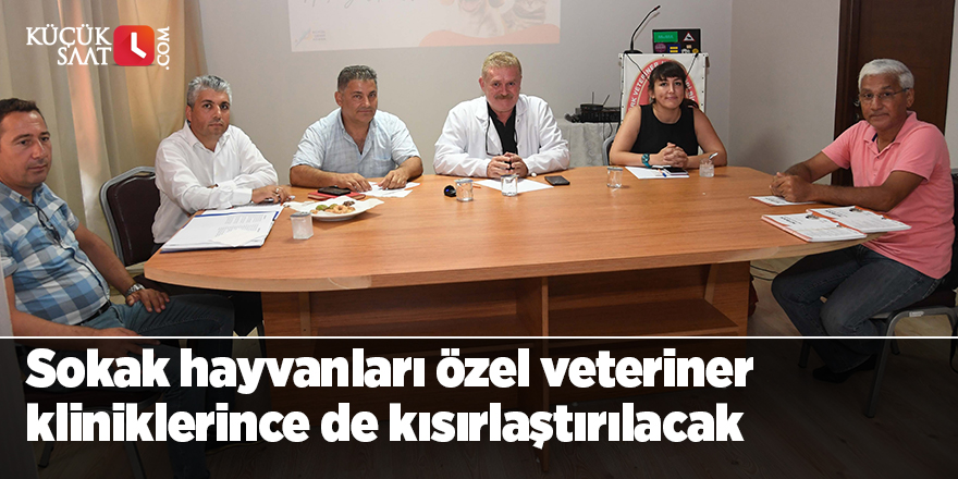 Adana’da sokak hayvanları özel veteriner kliniklerince de kısırlaştırılacak
