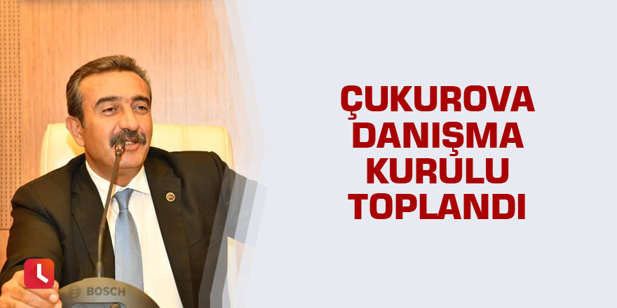 Çukurova Danışma Kurulu toplandı