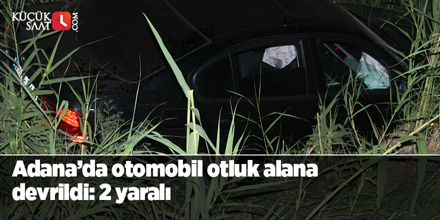 Adana’da otomobil otluk alana devrildi: 2 yaralı