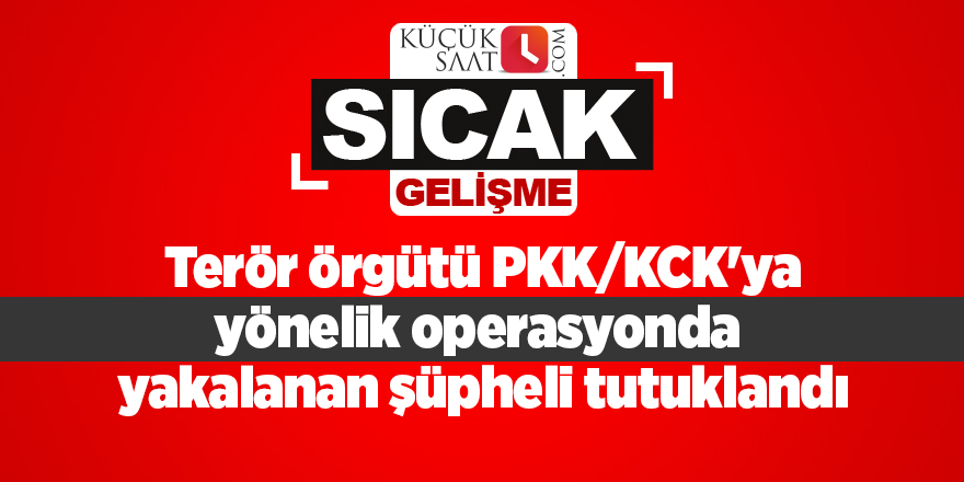 Adana'da PKK/KCK operasyonunda yakalanan zanlı tutuklandı