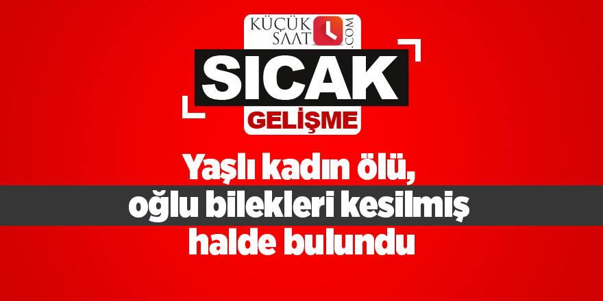 Yaşlı kadın ölü, oğlu bilekleri kesilmiş halde bulundu