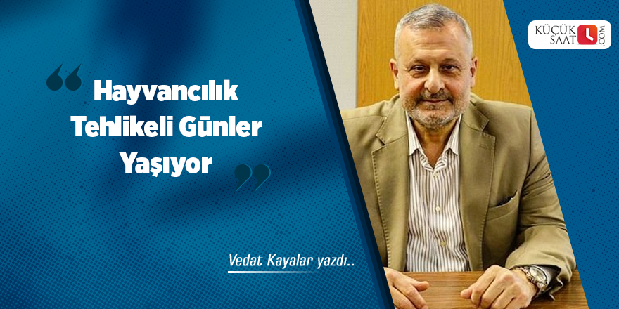 Hayvancılık Tehlikeli Günler Yaşıyor