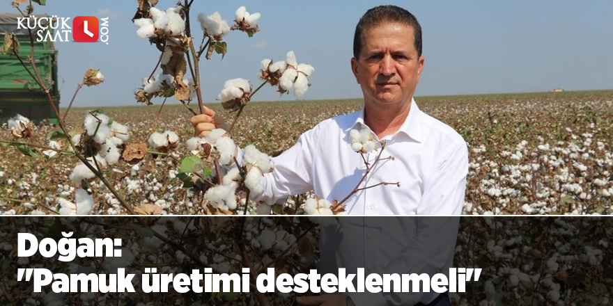 Doğan: "Pamuk üretimi desteklenmeli"