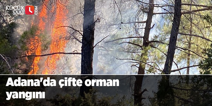 Adana'da çifte orman yangını