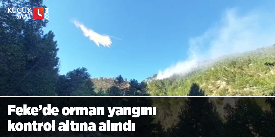 Feke’de orman yangını kontrol altına alındı