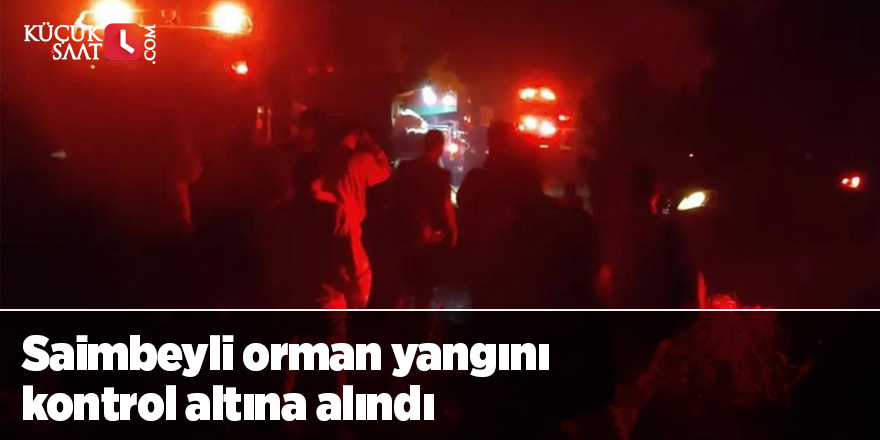 Saimbeyli orman yangını kontrol altına alındı