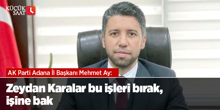 Mehmet Ay: Zeydan Karalar bu işleri bırak, işine bak