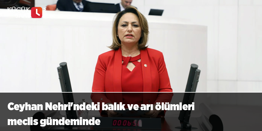 Ceyhan Nehri'ndeki balık ve arı ölümleri meclis gündeminde