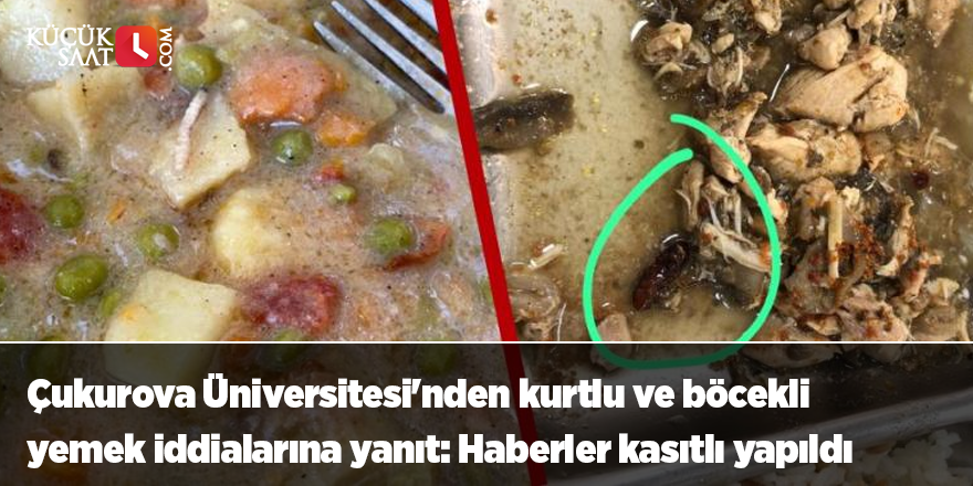 Çukurova Üniversitesi'nden kurtlu ve böcekli yemek iddialarına yanıt: Haberler kasıtlı yapıldı