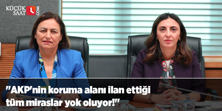 "AKP'nin koruma alanı ilan ettiği tüm miraslar yok oluyor!"