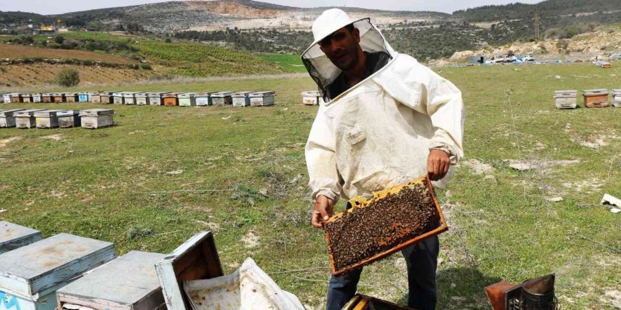 Adana’da bal rekoltesi 12 bin 527’e tona çıktı