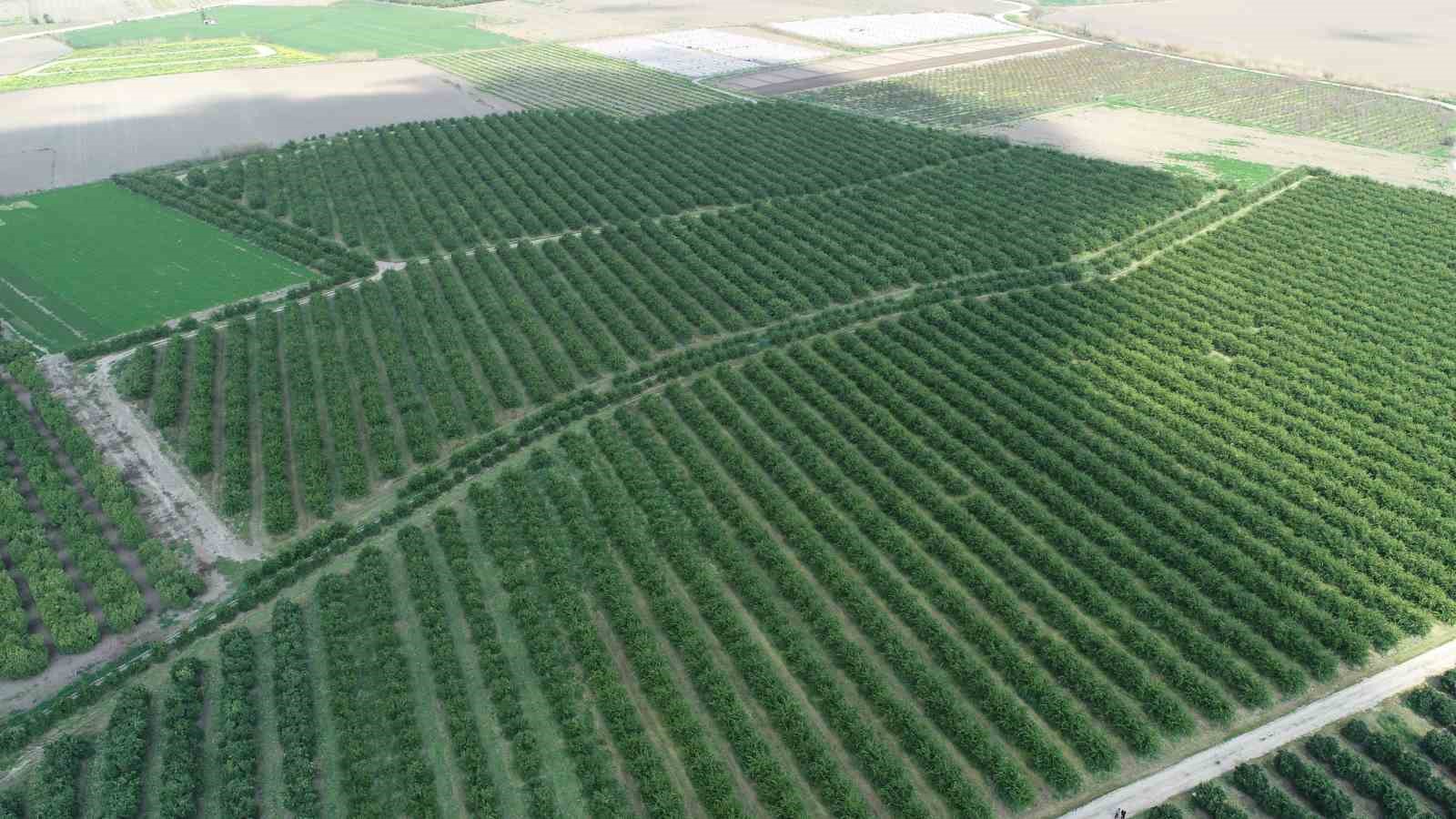 Zirai don Adana’yı teğet geçebilir