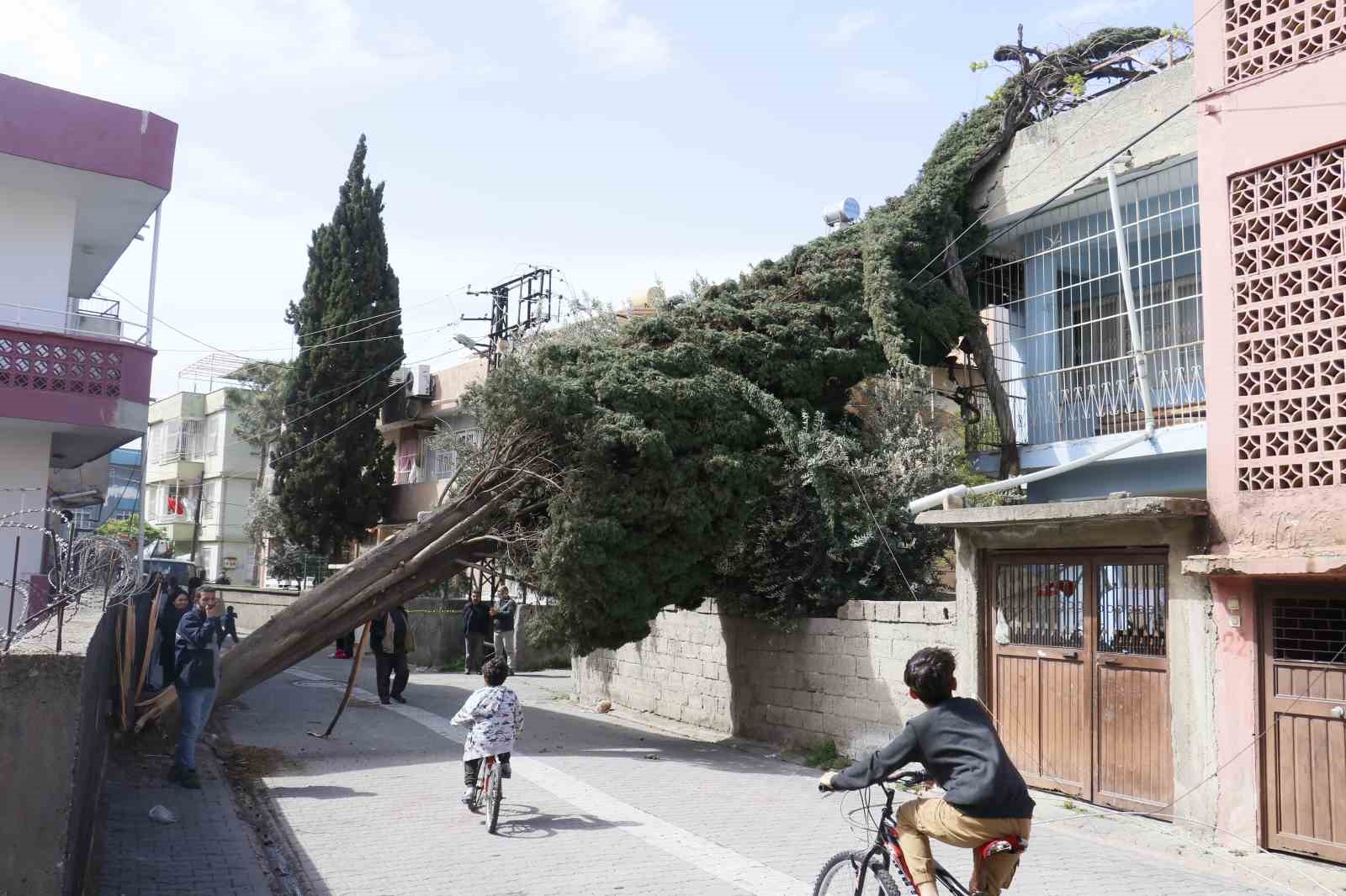 Adana’da fırtına çatıları uçurdu, ağaçları devirdi, elektrik tellerini kopardı