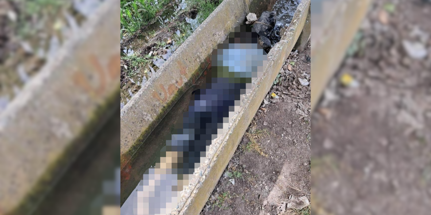 Adana’da sulama kanalında kadın cesedi bulundu