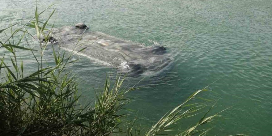 Adana'da sulama kanalına düşen otomobilden 3 erkek cesedi çıktı