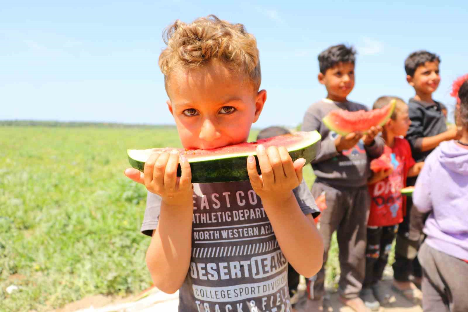 Tescilli Adana karpuzu dünya sofralarını da süslüyor