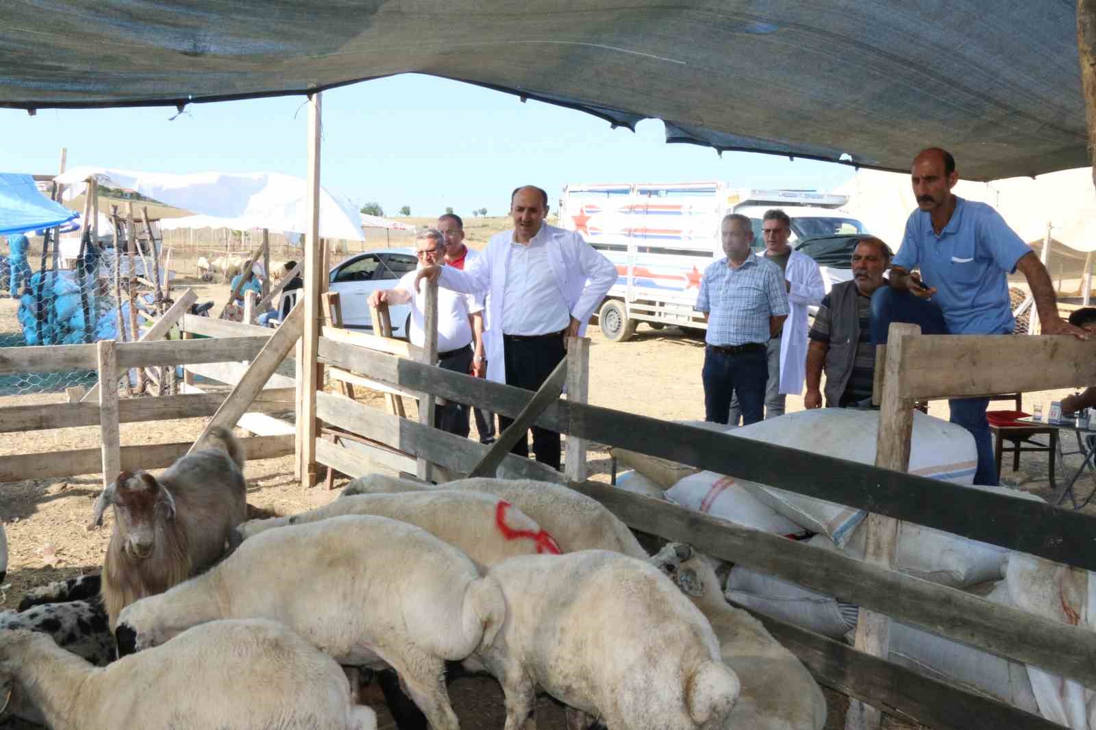 Bayram öncesi Adana’ya 30 bin hayvan getirildi