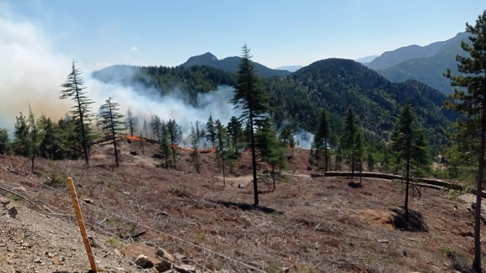 Adana Feke’deki orman yangını kontrol altına alındı