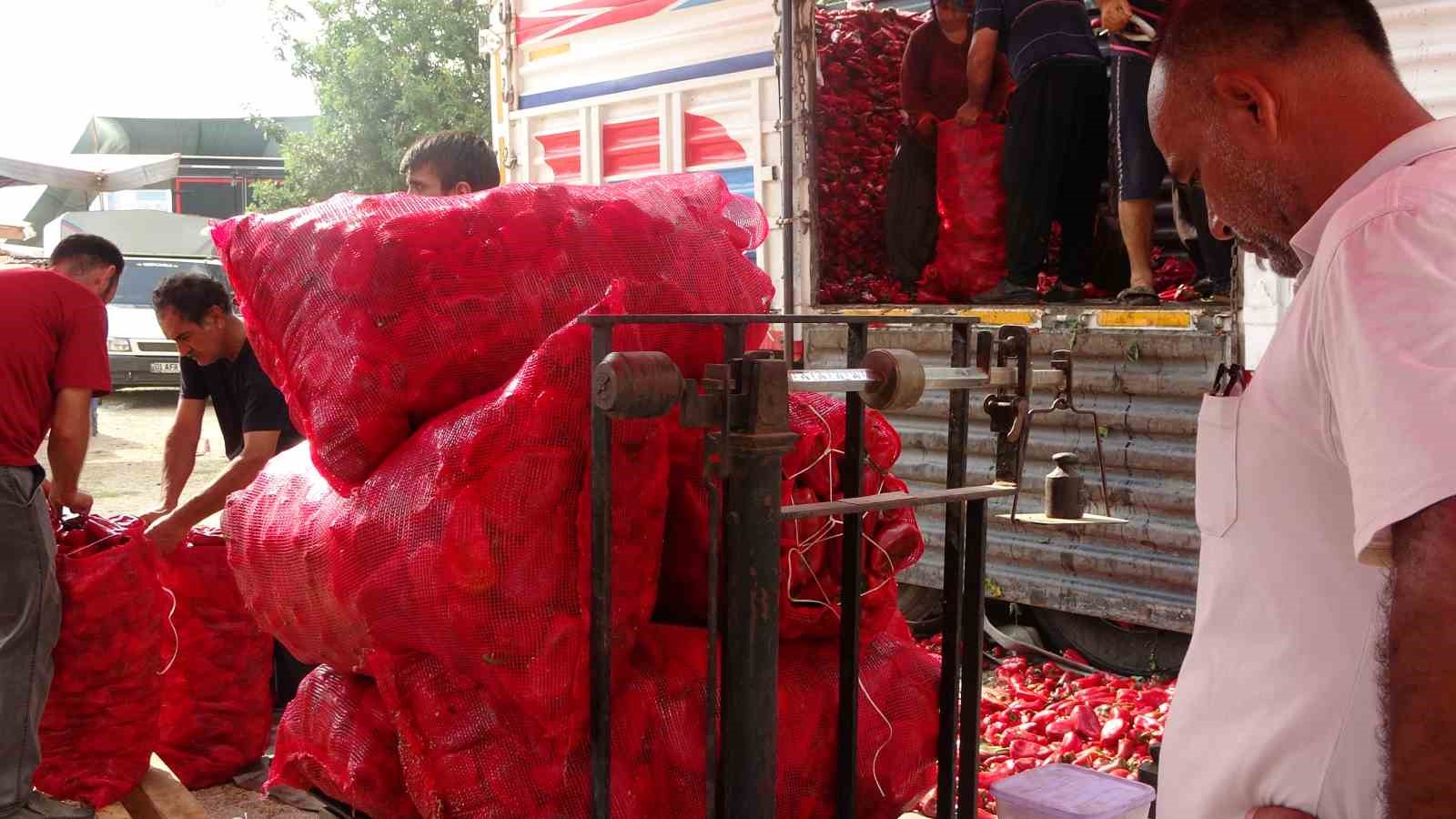 Adana'da geçen yıl 12 liradan satılan salçalık biber bu yıl 22 liradan satışa çıktı