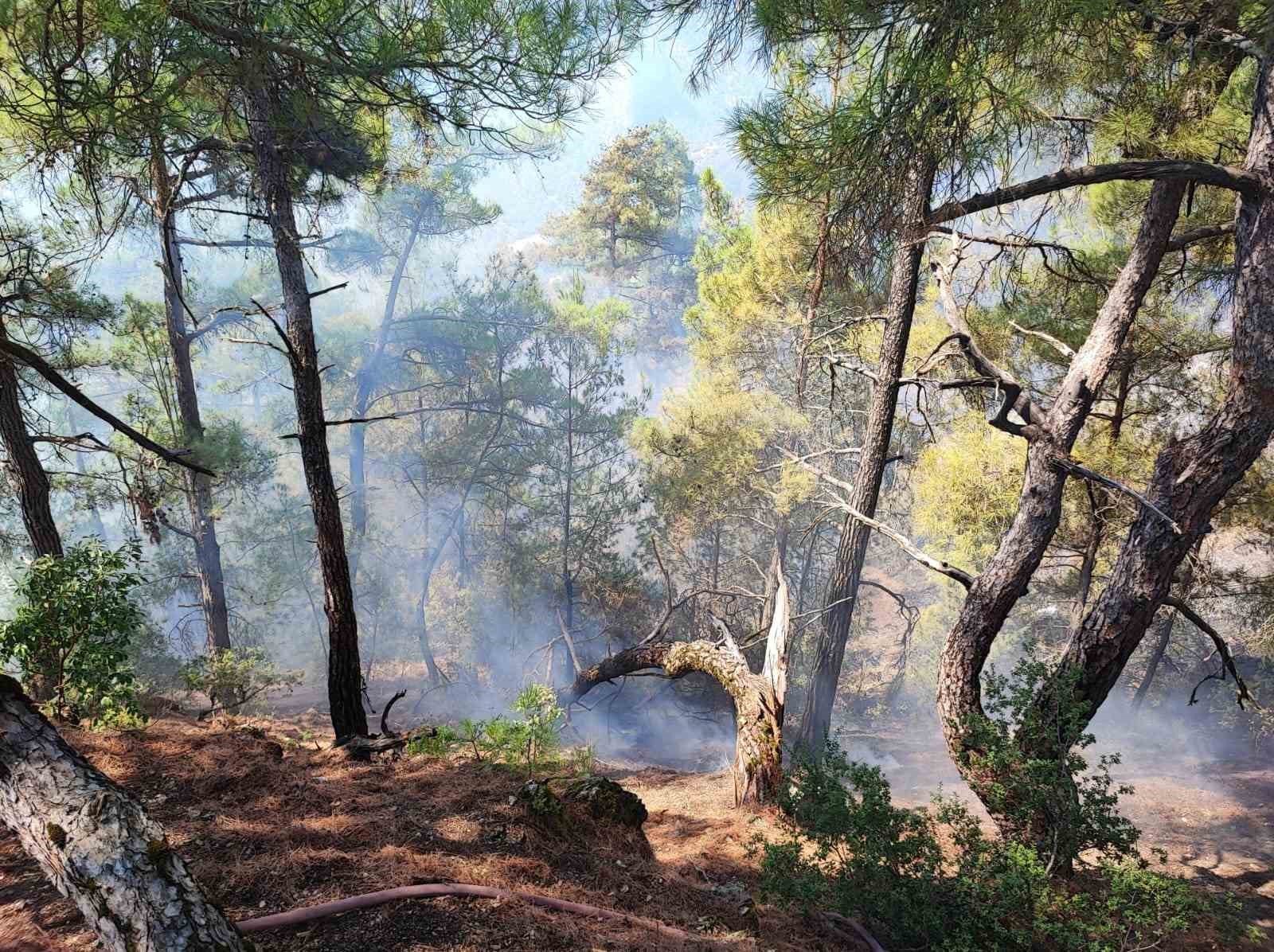 Feke’deki orman yangını kontrol altına alındı